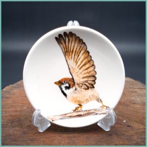 Teller Sparrow Collection klein 12cm M7