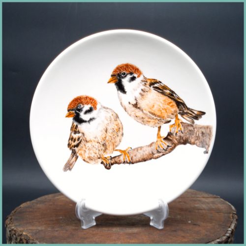 Teller Sparrow Collection medium19,5cm M1