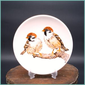 Teller Sparrow Collection medium19,5cm M1