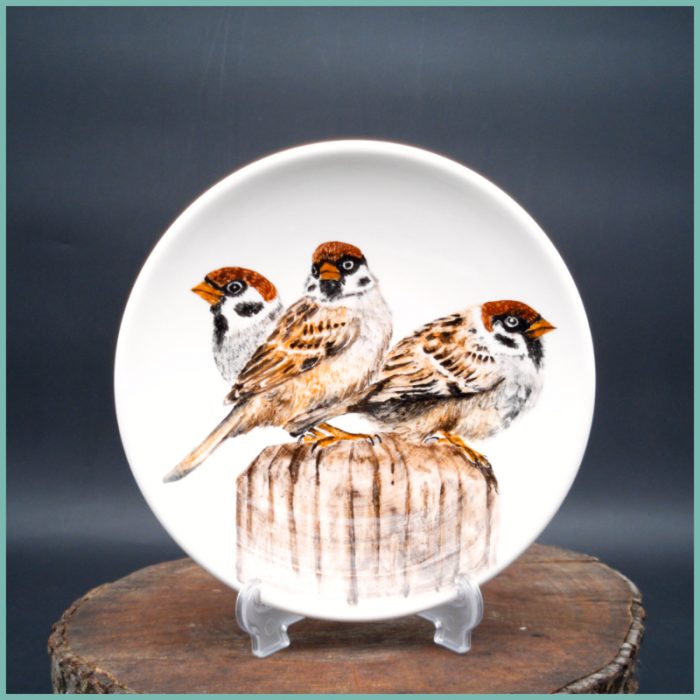 Teller Sparrow Collection medium 19,5cm M3