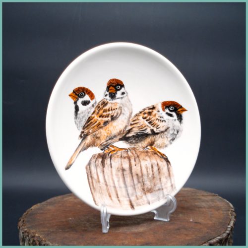 Teller Sparrow Collection medium 19,5cm M3