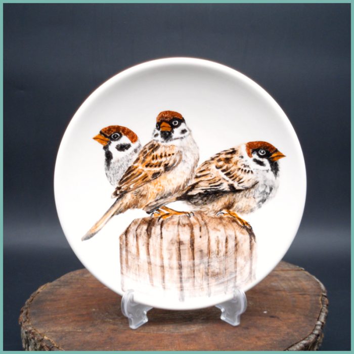 Teller Sparrow Collection medium 19,5cm M3