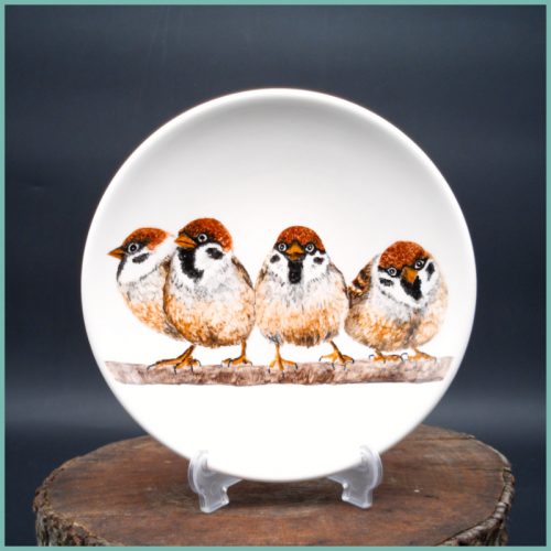 Teller Sparrow Collection medium 19,5cm M4