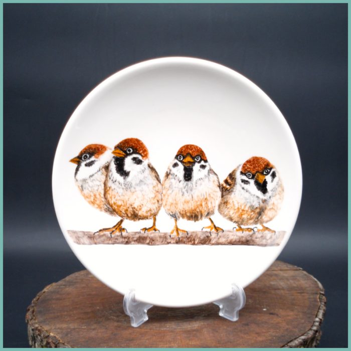 Teller Sparrow Collection medium 19,5cm M4