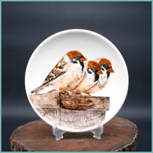 Teller Sparrow Collection medium 19,5cm M5